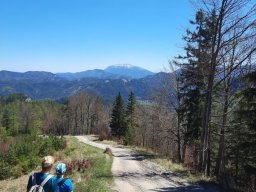 Wanderung Gschwendt 2026-04